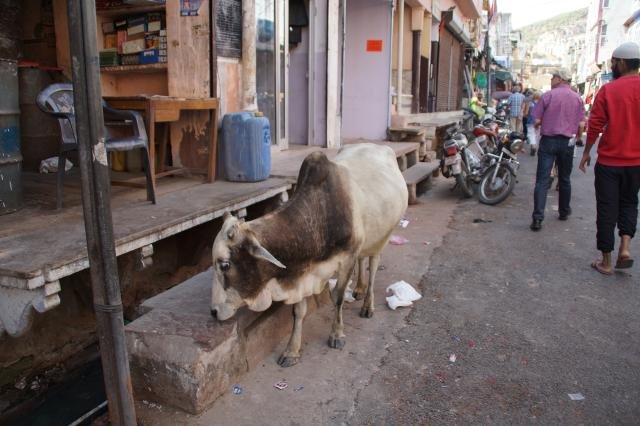 Urlaub in Indien 2016